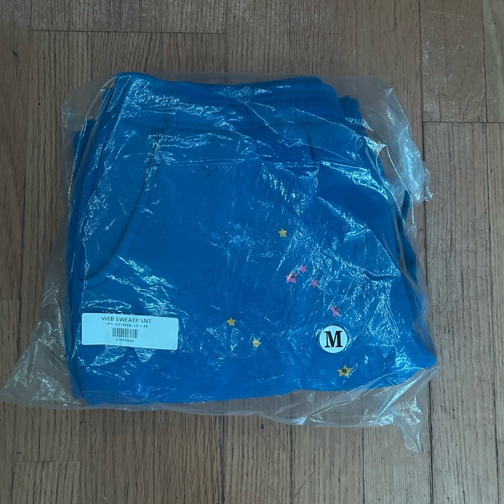 Sp5der TC sweatpants Blue